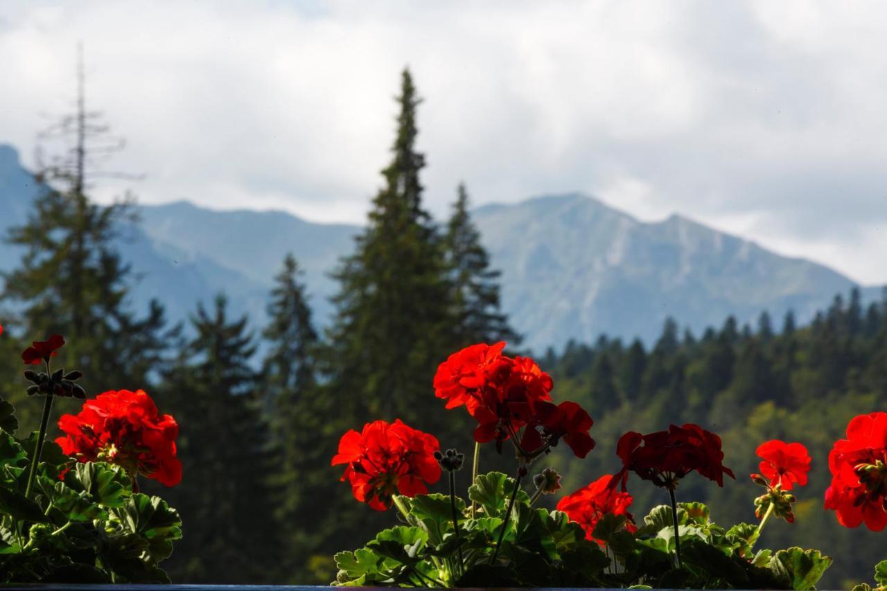 Manor Ski Hotel Predeal Dış mekan fotoğraf