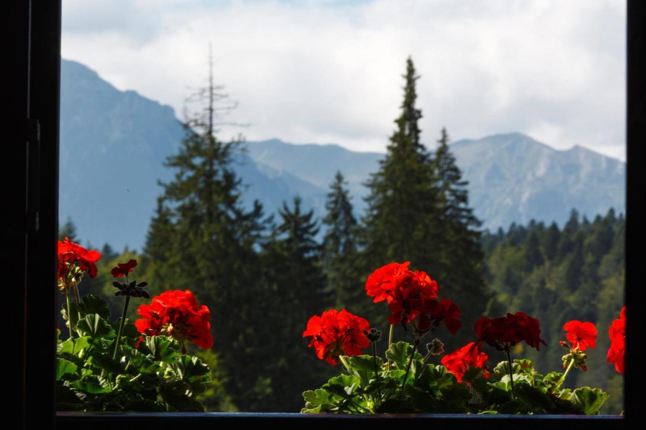 Manor Ski Hotel Predeal Dış mekan fotoğraf
