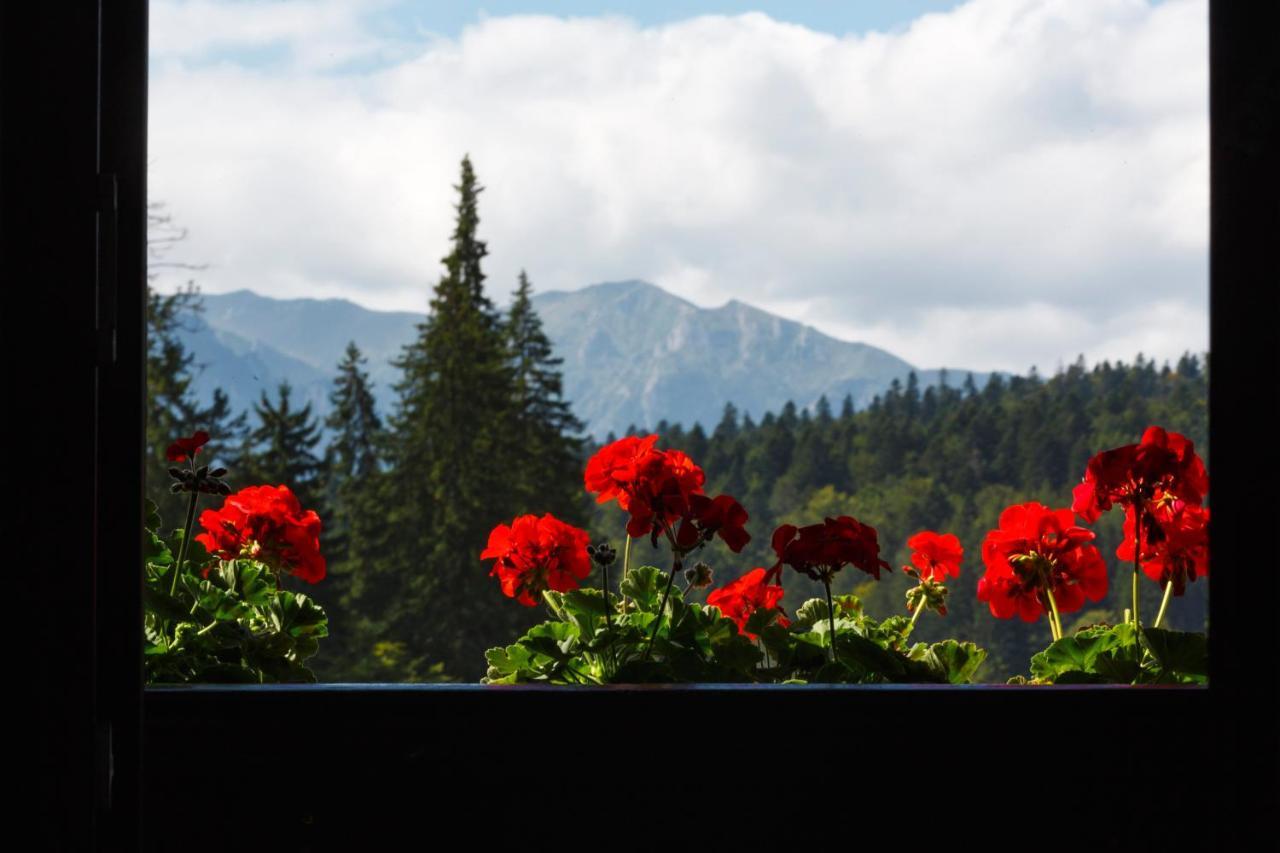 Manor Ski Hotel Predeal Dış mekan fotoğraf